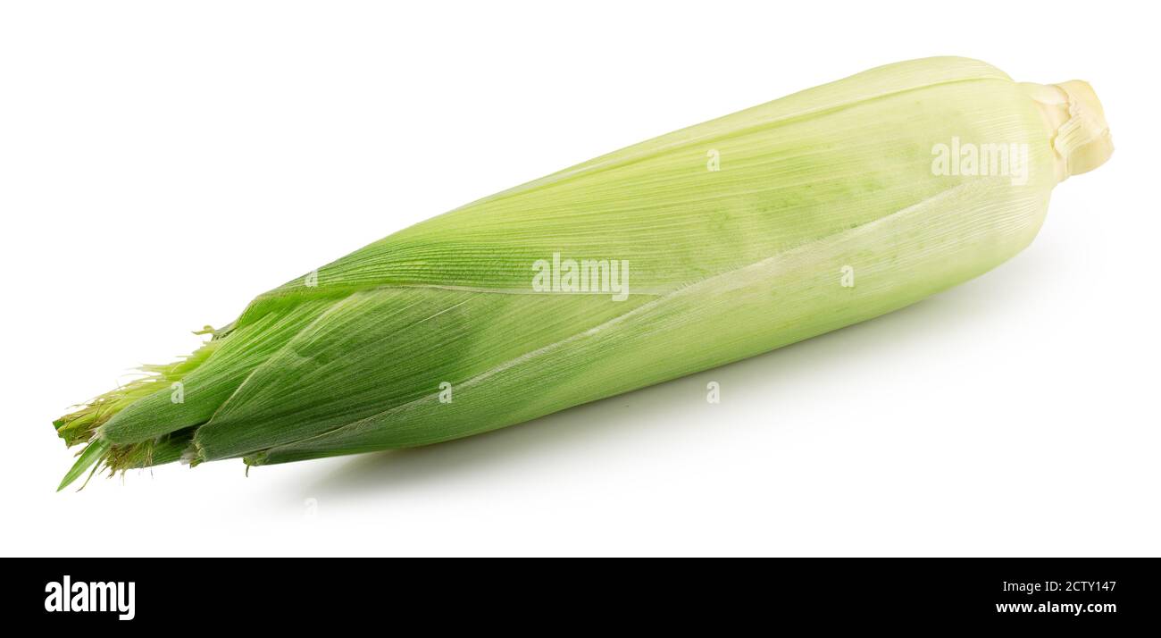 corn ear with husk isolated on a white background Stock Photo Alamy