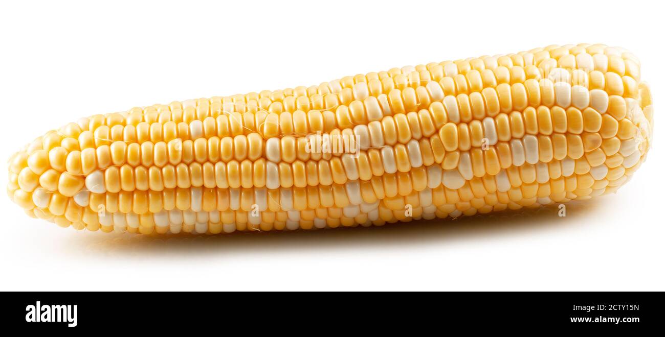 ear-corn-without-husk-isolated-on-a-white-background-stock-photo-alamy