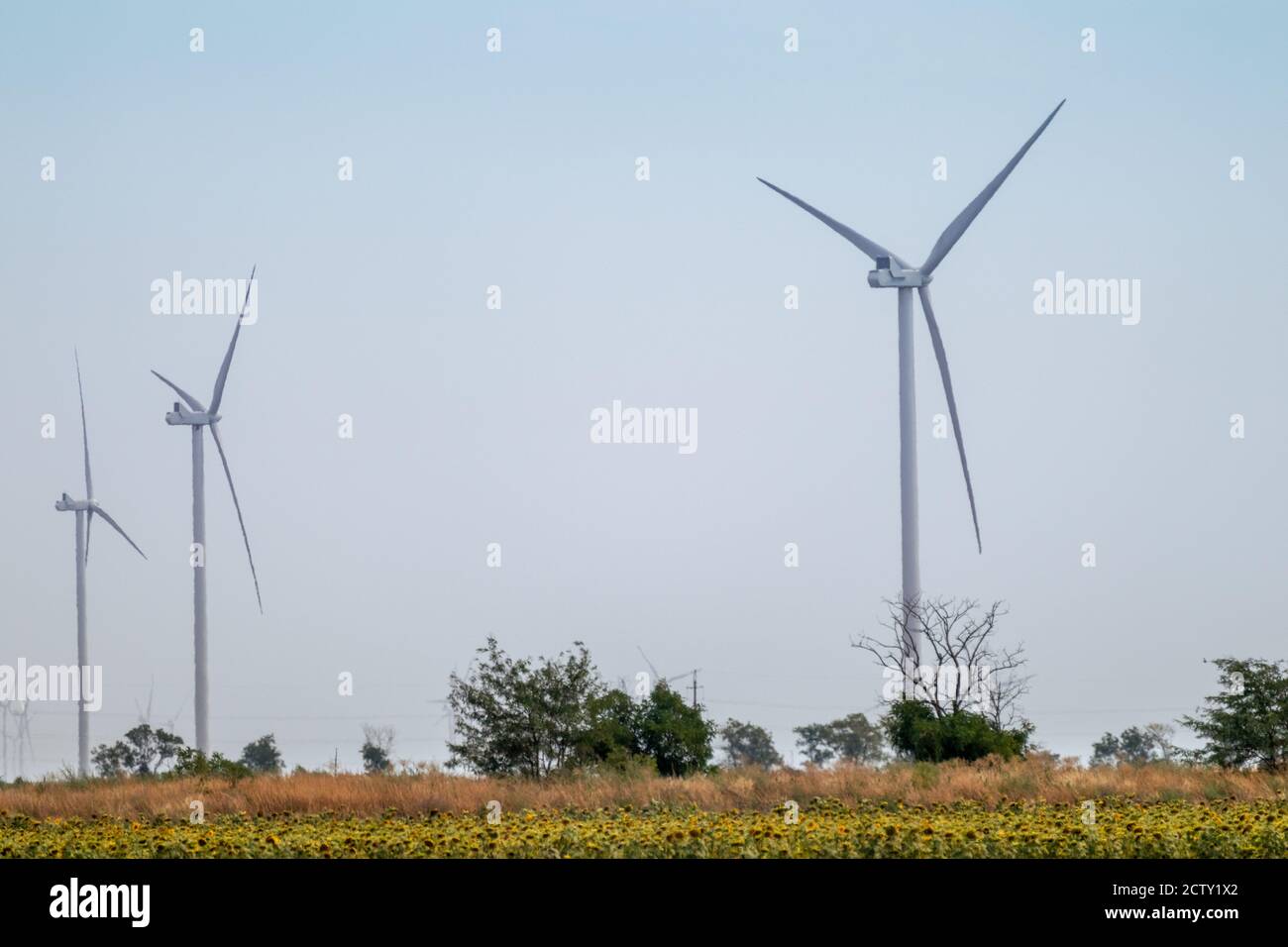 Wind electro generators standing in yellow field. Green eco energy of