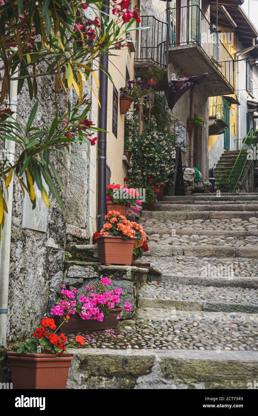 View up European cobblestone steps with potted flowers and plants Stock Photo