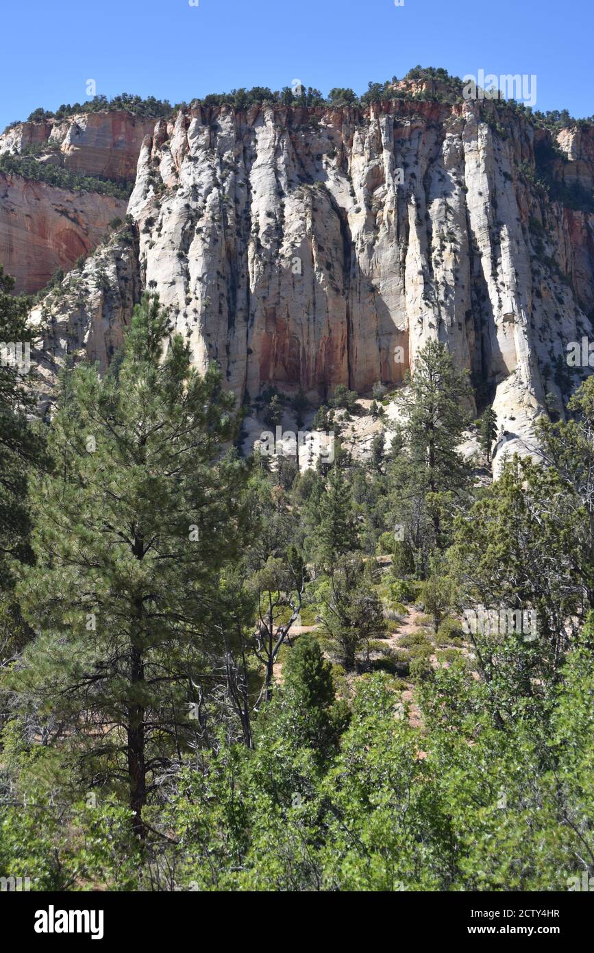 Springdale, UT. U.S.A. 8/12/2020. Zion National Park’s Virgin River ...