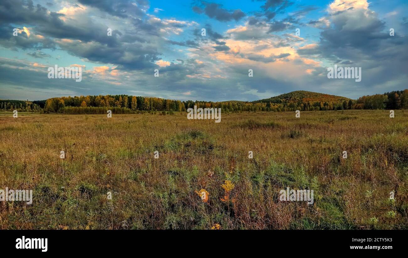 Autumn landscape meadow with yellowed grass against the background of forest foliage, mountains and a beautiful sunset sky. Stock Photo