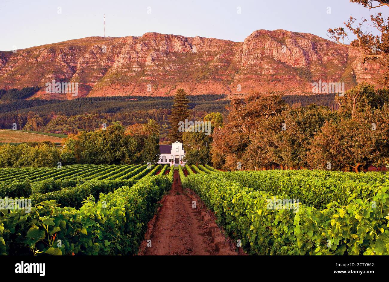 Buitenverwachting Wine Estate in Constantia, Cape Town, South Africa Stock Photo