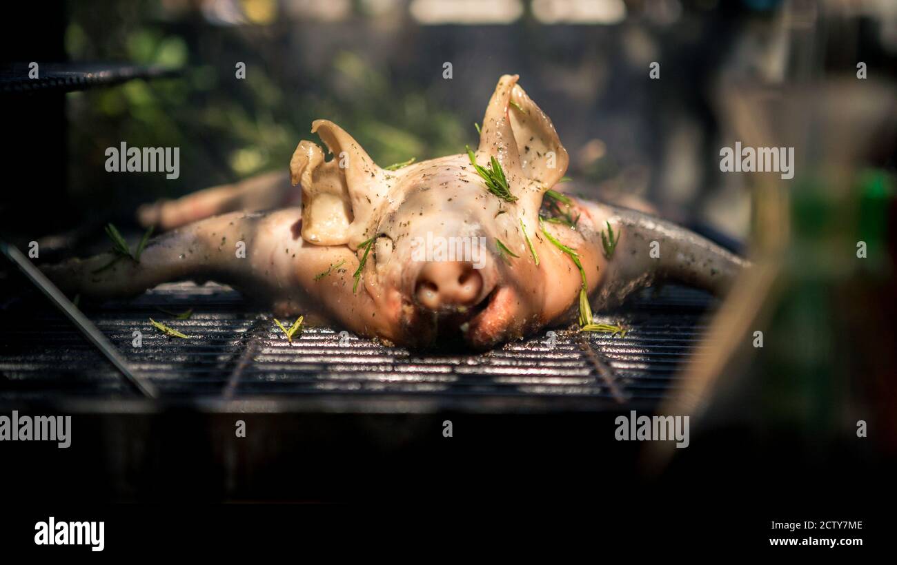 BBQ whole grilled pig in garden house. Home cooking of crispy roasted pork. Close up of piglet roast on a spit, spanish barbecued hot meat. Stock Photo