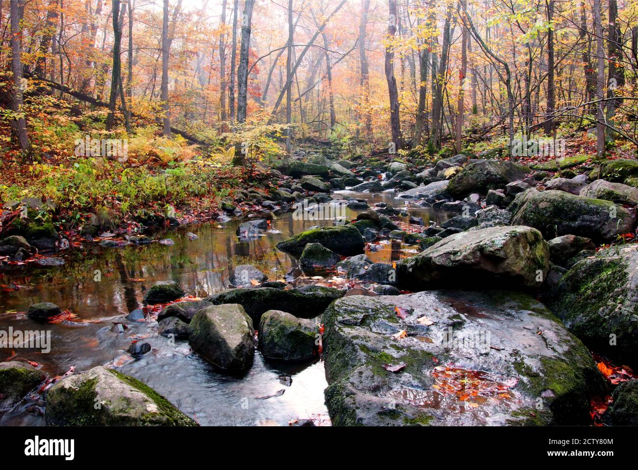 Beautiful autumn landscape with stream in the colorful trees forest at the Devils Lake state park, Baraboo area, Wisconsin, USA. Stock Photo
