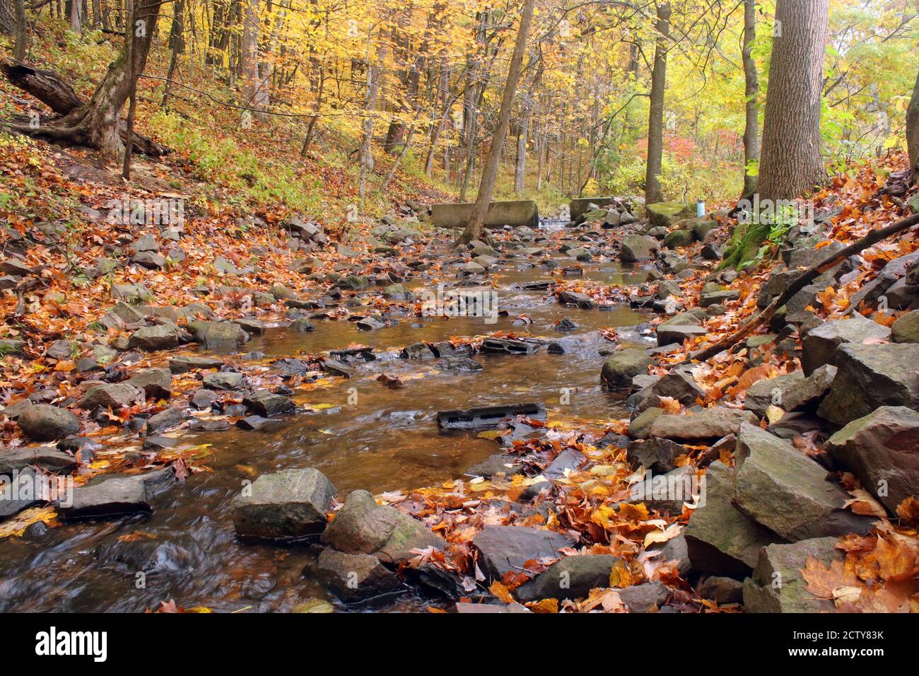 Beautiful autumn landscape with stream in the colorful trees forest at the Devils Lake state park, Baraboo area, Wisconsin, USA. Stock Photo