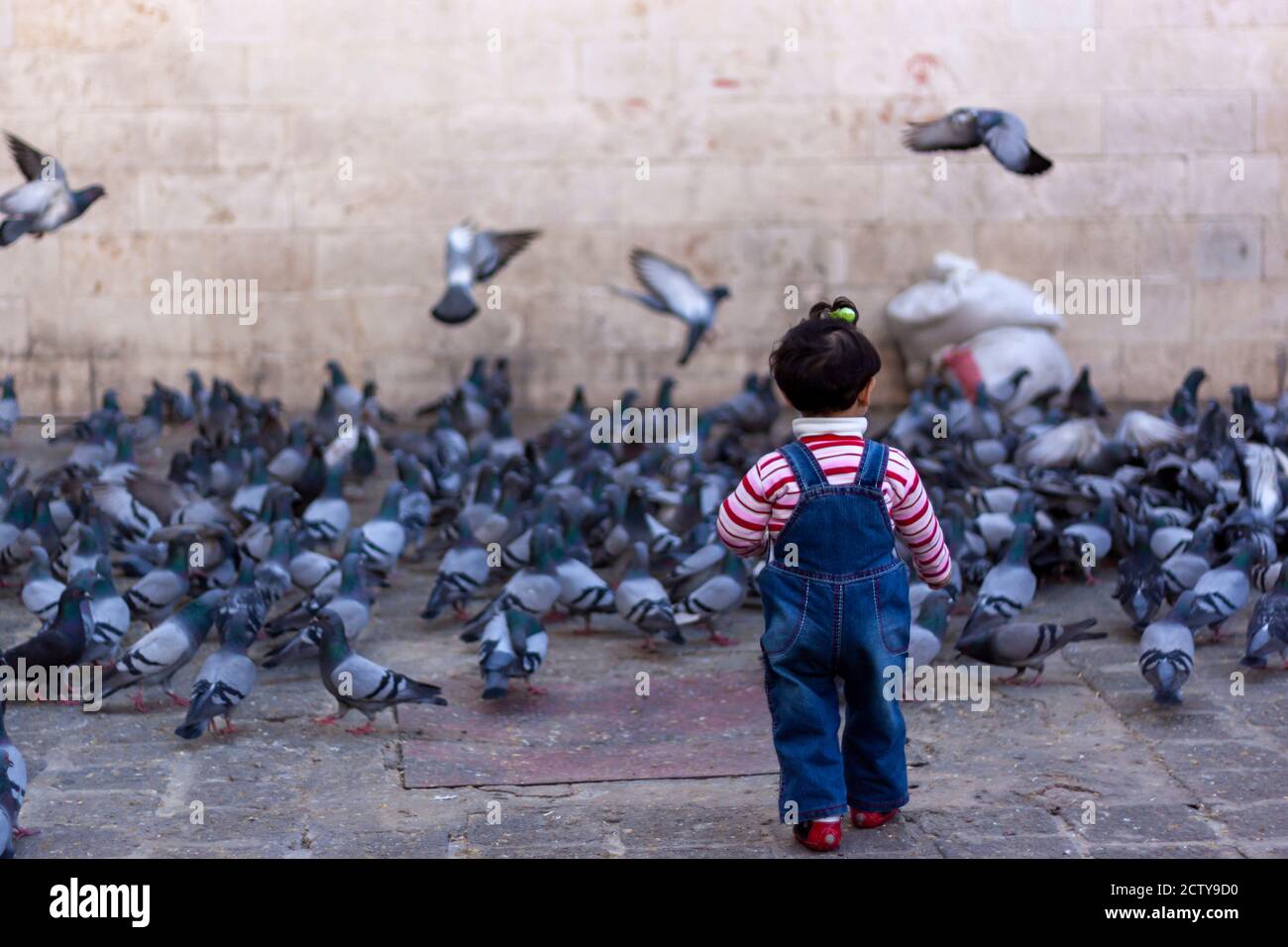 A pretty syrian girl is walking cautiously towards a flock of doves feeding on stone ground at a historic district in Damascus. She is curious and exp Stock Photo