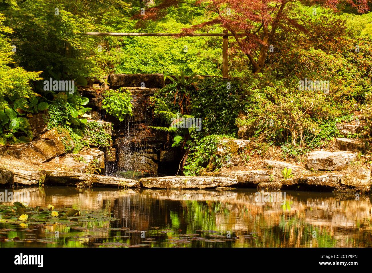 Some of the nicest gardens in Tokyo are hidden behind hotels | National  Geographic, image size:1300x956