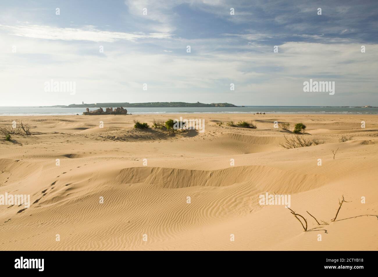 Sand dunes in a desert, Diabat, Essaouira, Atlantic Coast, Morocco Stock Photo