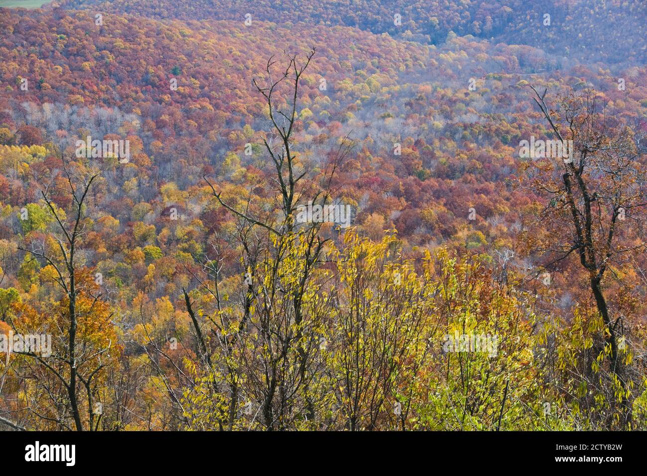 View of Allegheny Mountains from Mt Ararat, Schellsburg, Bedford County, Pennsylvania, USA Stock Photo