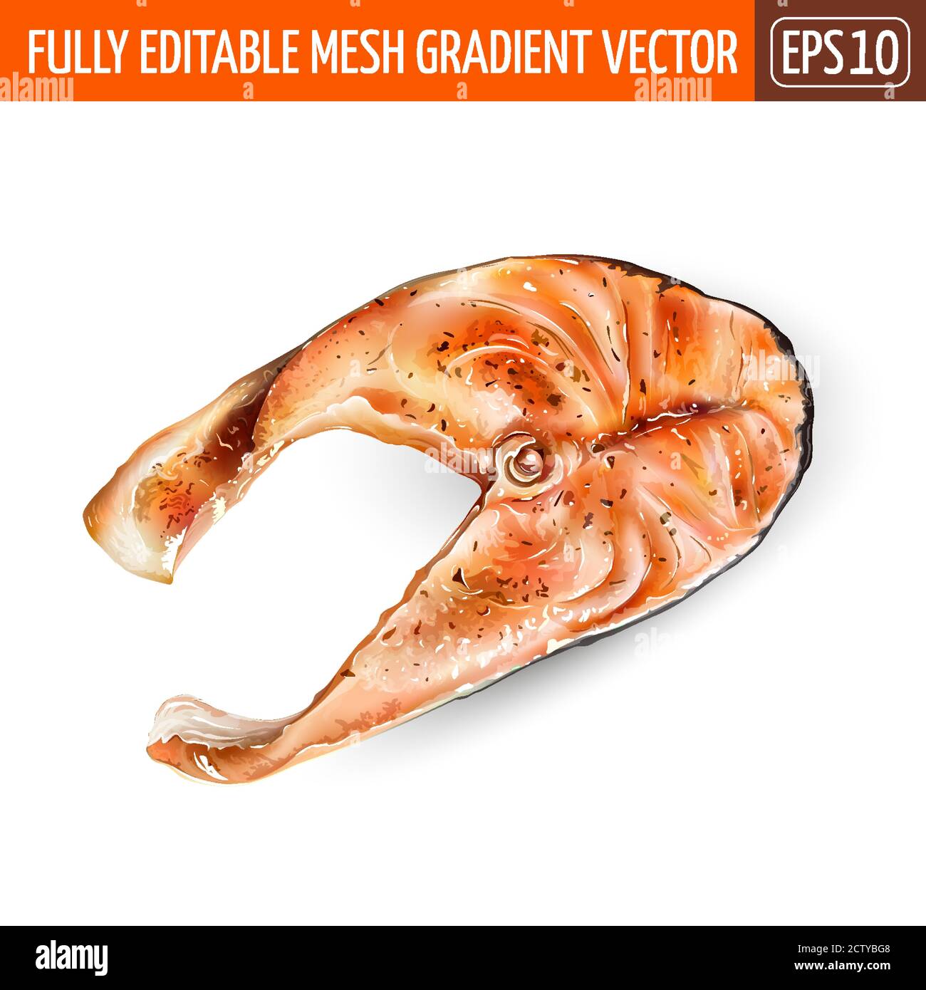 Delicious steak of salmon fish isolated on white Stock Vector Image ...