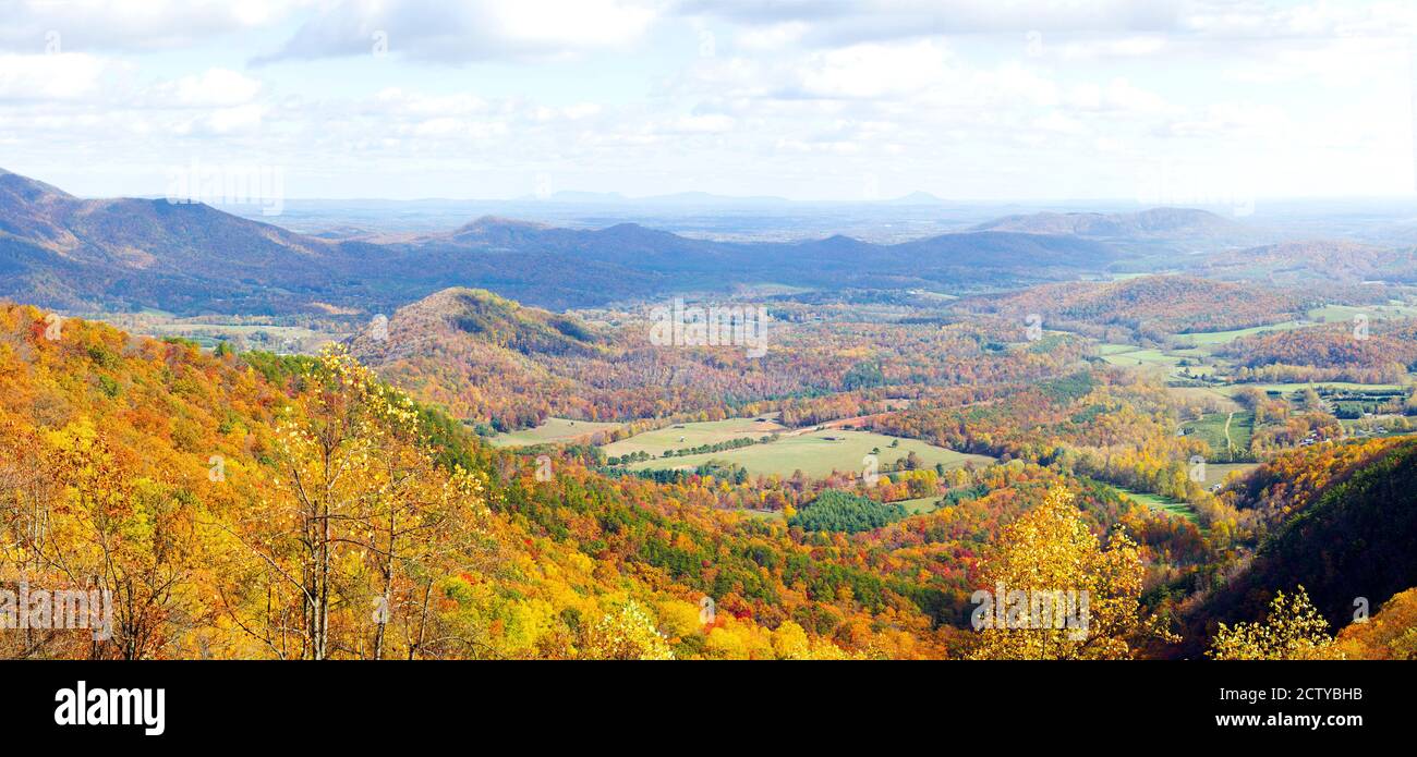 Trees on a hill, North Carolina, USA Stock Photo Alamy