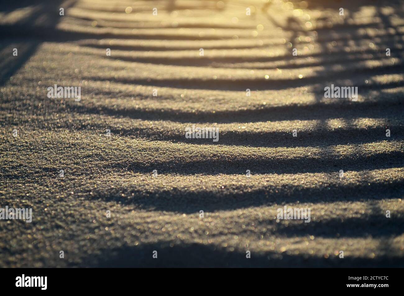 Texture of sand on the beach Stock Photo
