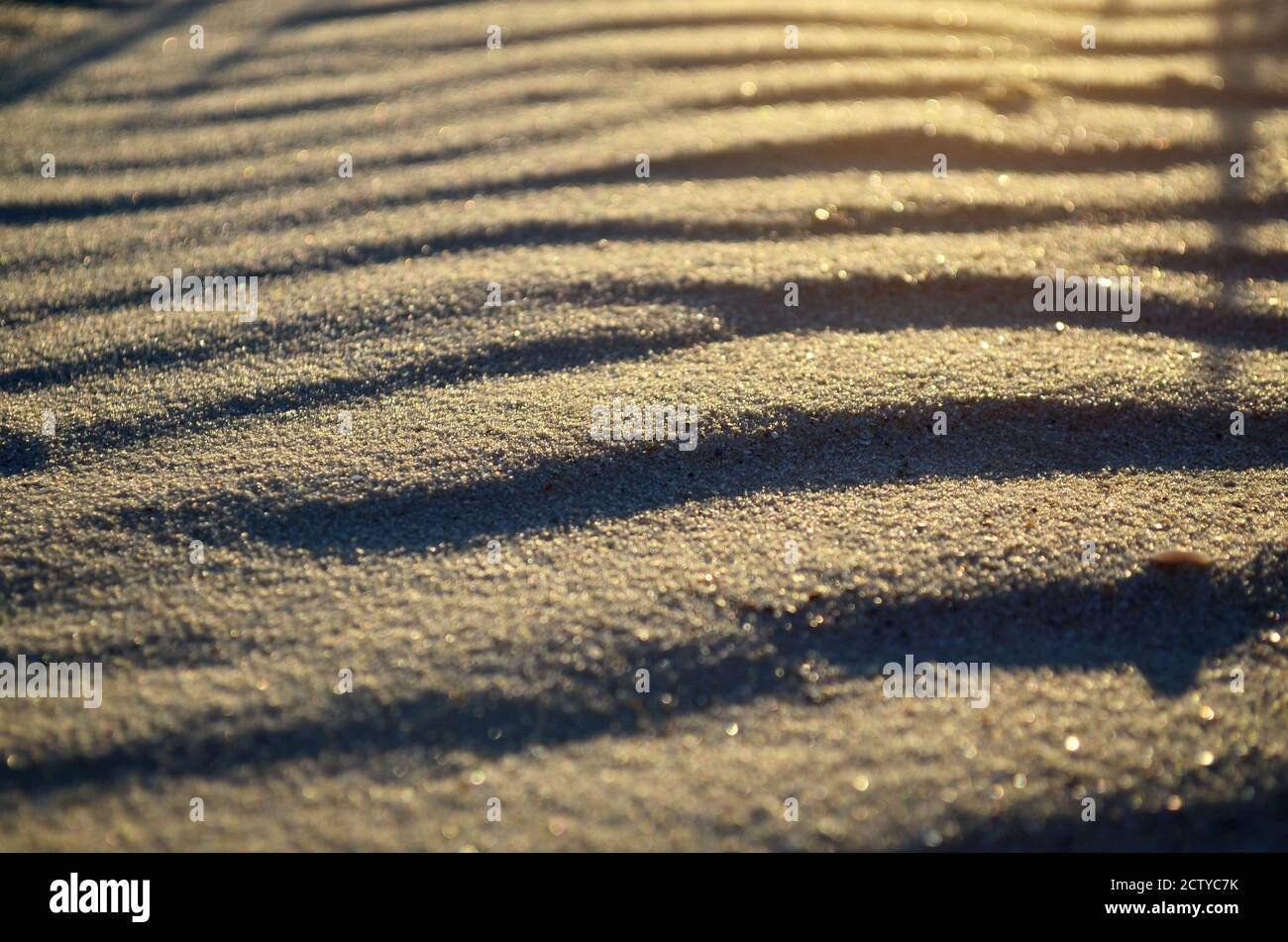 Texture of sand on the beach Stock Photo