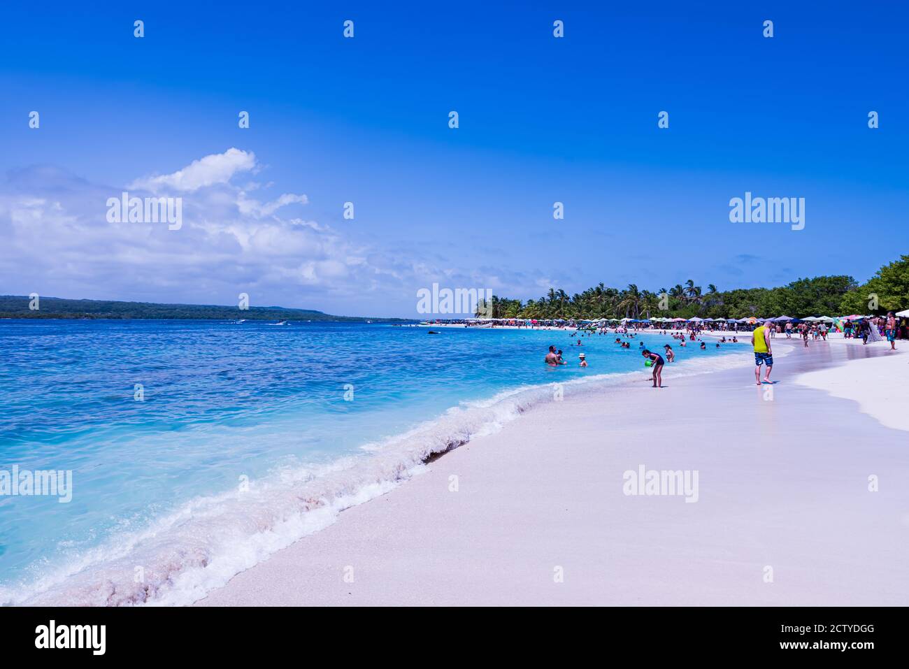 Tropical beach with palm trees in Cayo Sombrero in the caribbean sea (Morrocoy Archipelago, Venezuela). Stock Photo