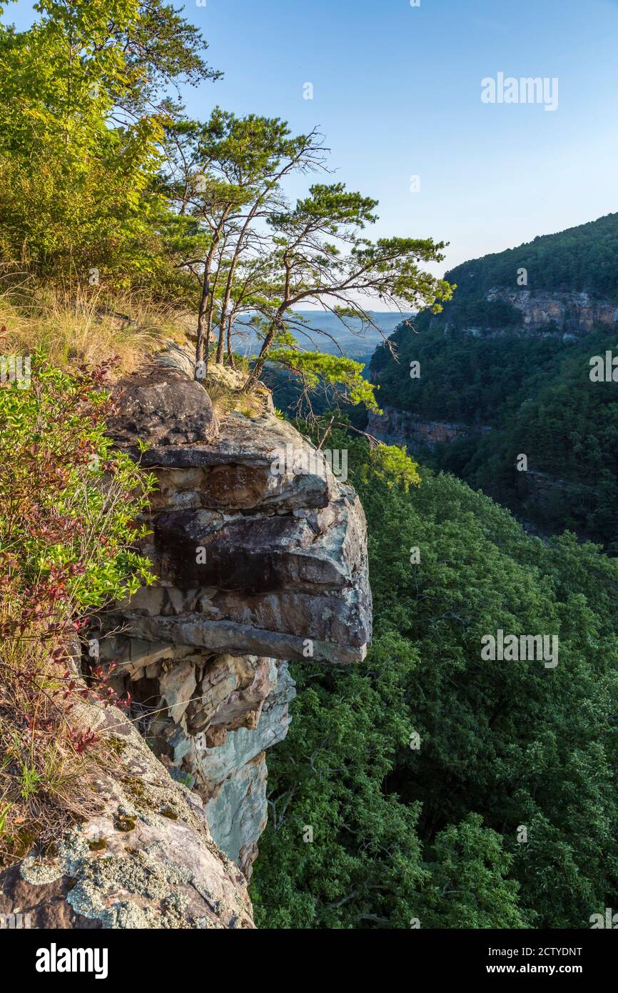 Cloudland Canyon State Park in Rising Fawn, USA Stock Photo