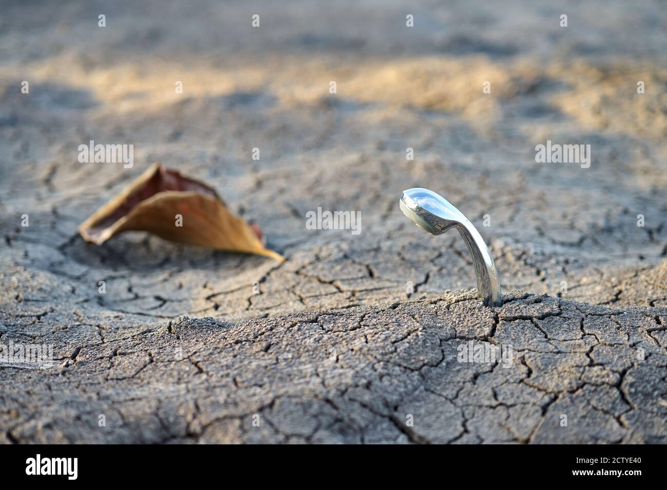 A shower head and dead leaf in dry cracked earth landscape. Stock Photo