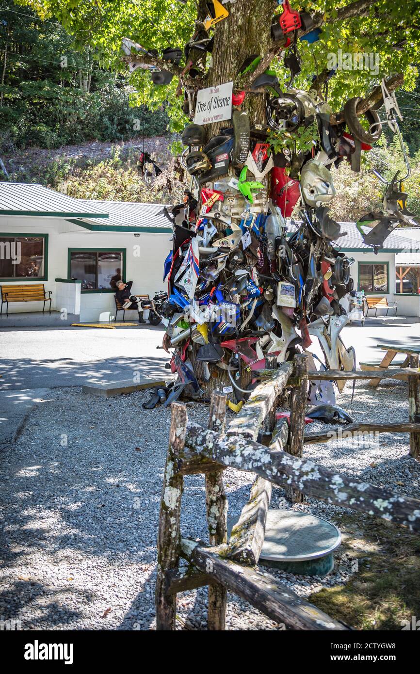 Tree of Shame covered in motorcycle parts from wrecks along the Tail of the  Dragon at Deals Gap, North Carolina, USA Stock Photo - Alamy