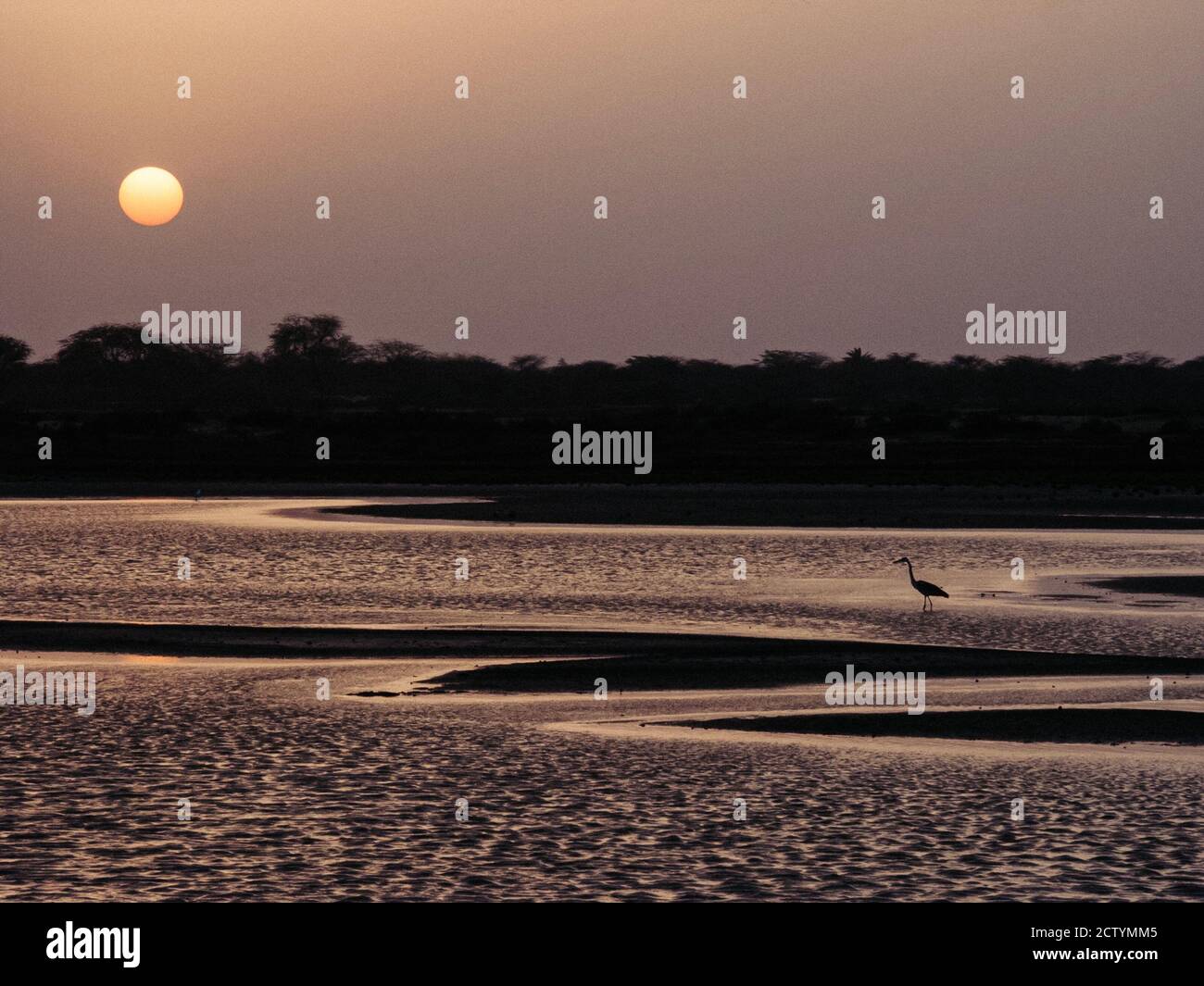 Langue de Barbarie Stock Photo