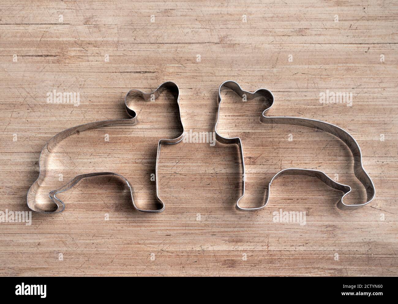 Stainless steel bear shapes on wood board. Animal cookie cutter. Bear cups. Symbol of Canada. Silver outline. Copy space. Stock Photo