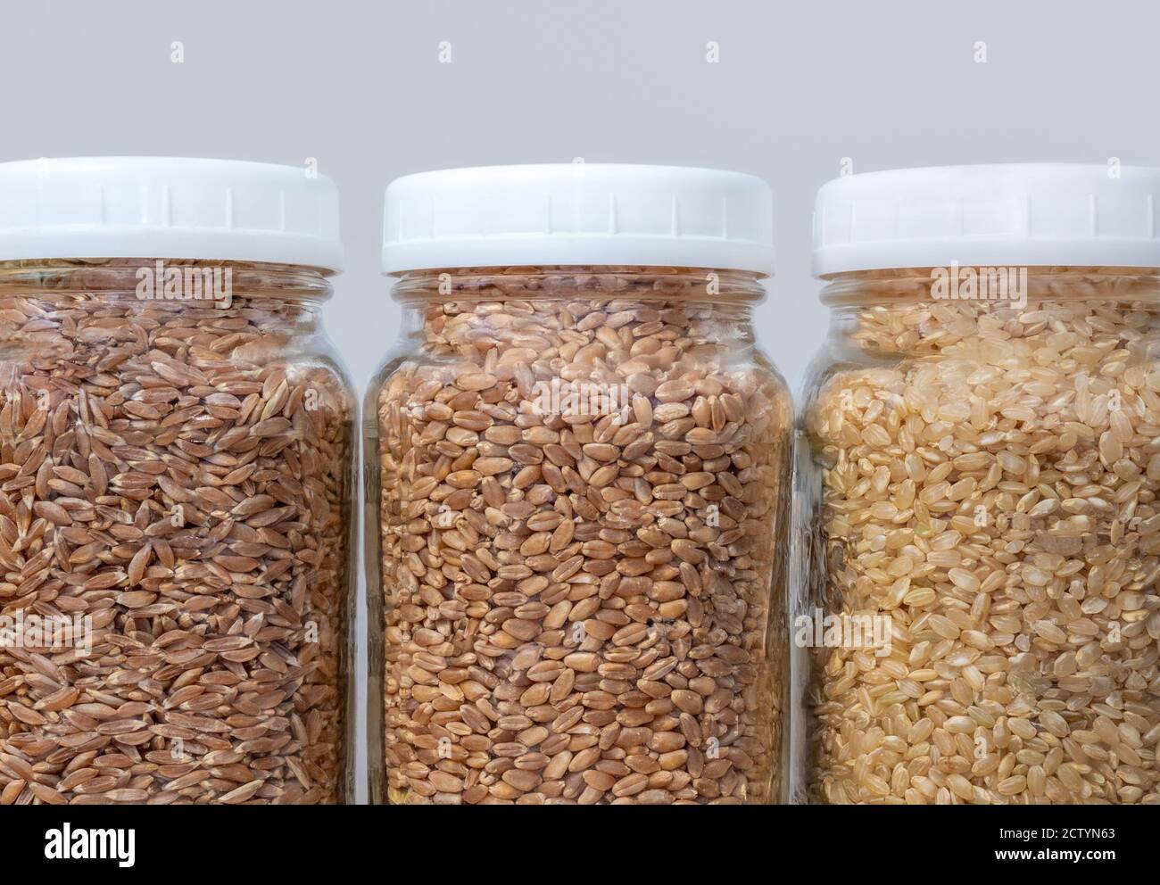 Food prepping containers hires stock photography and images Alamy