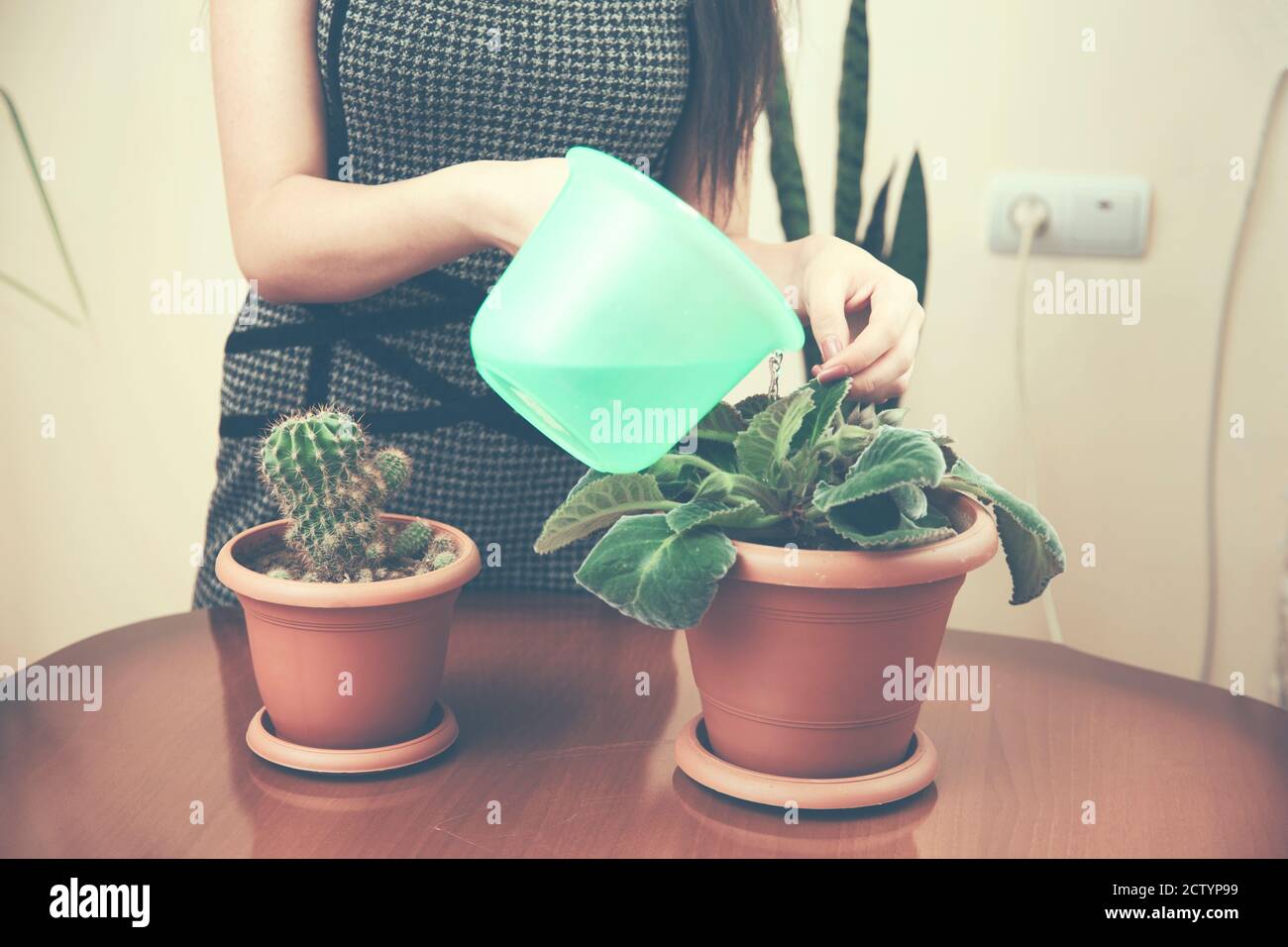 A woman watering a flower's on wooden table Stock Photo