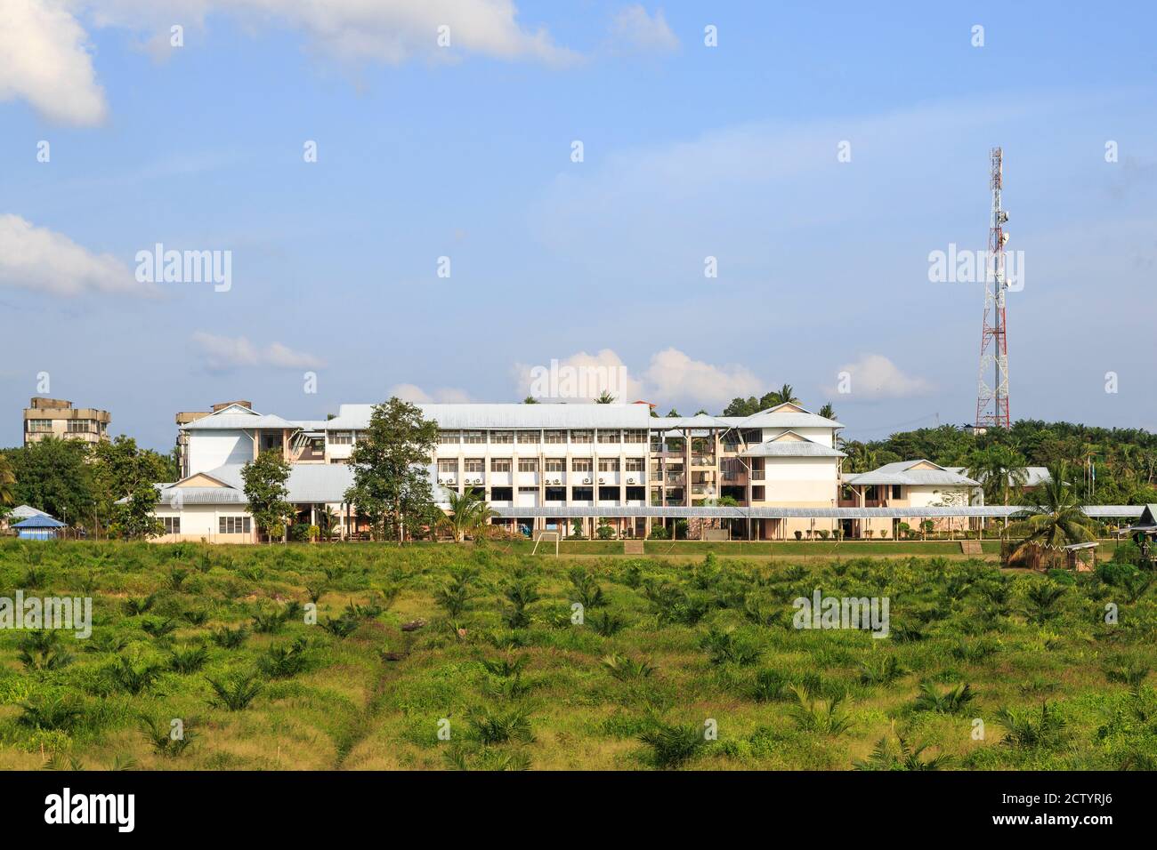 Kota Pamol, Sabah, Malaysia: SK Pamol, the primary school on the compound of PAMOL Estate, in middle of freshly planted oil palm fields. Stock Photo