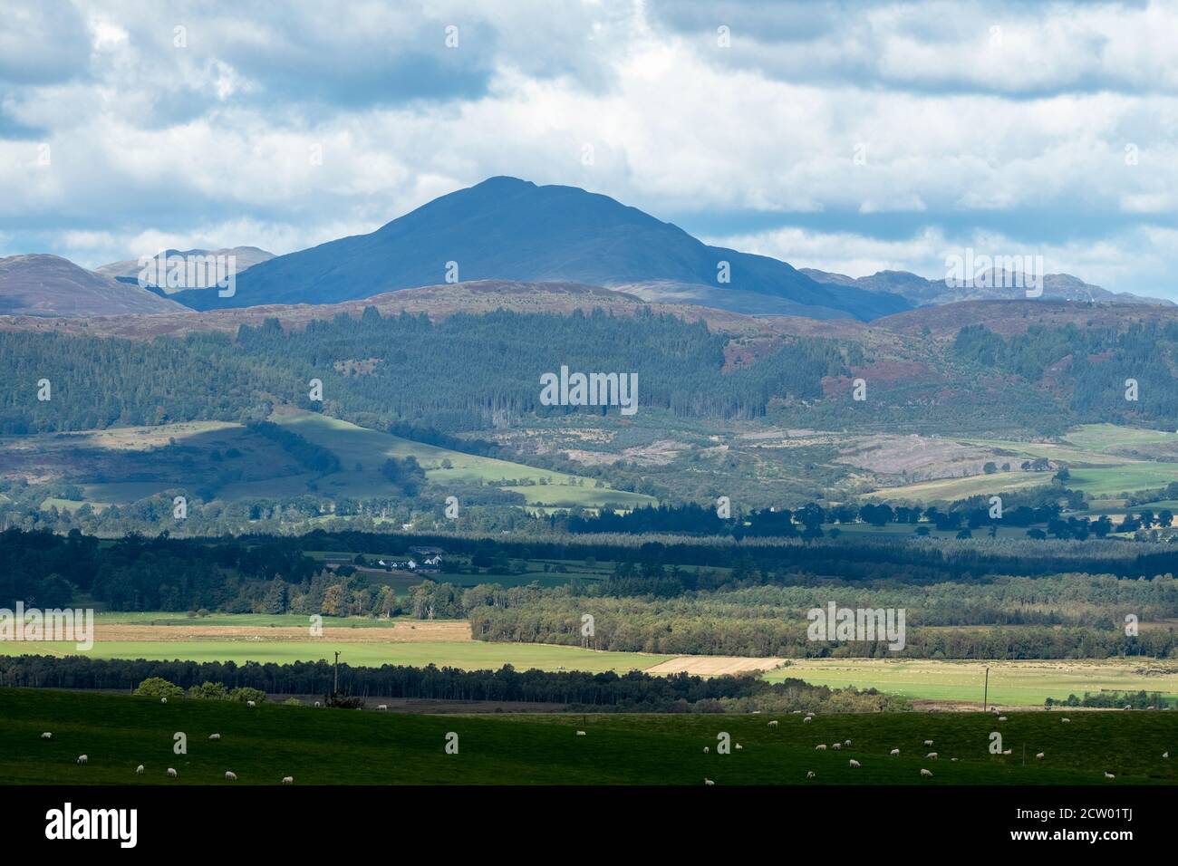 View from Kippen Muir towards Ben Ledi in the Trossachs. Stock Photo