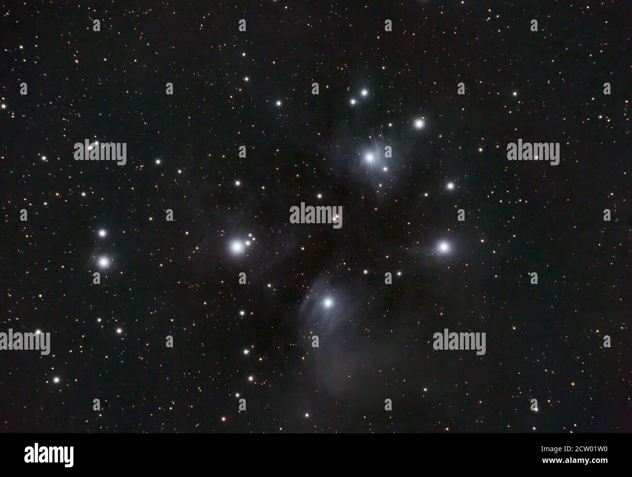 The Pleiades star cluster, M45, 70min telescope exposure with Nikon Z7 on  25 September 2020 showing nebulousity of the Merope Nebula Stock Photo -  Alamy