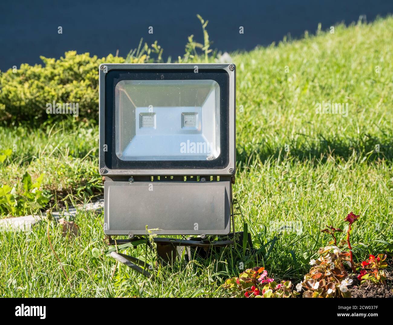 Outdoor electric light source. LED lamp for outdoor directional light ...