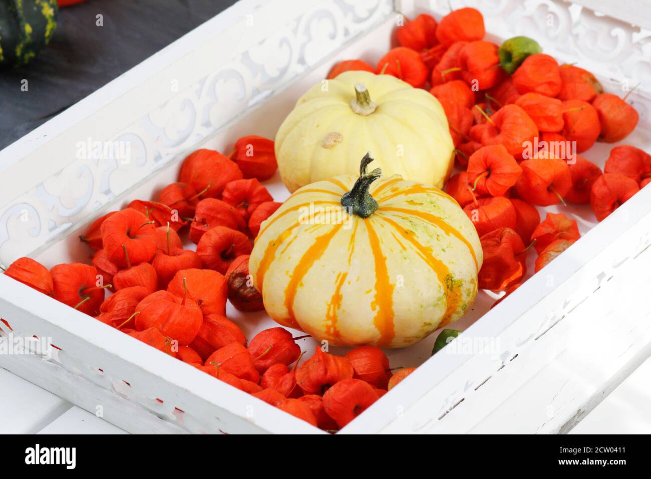Autumn decoration with pumpkins and lantern flowers Stock Photo