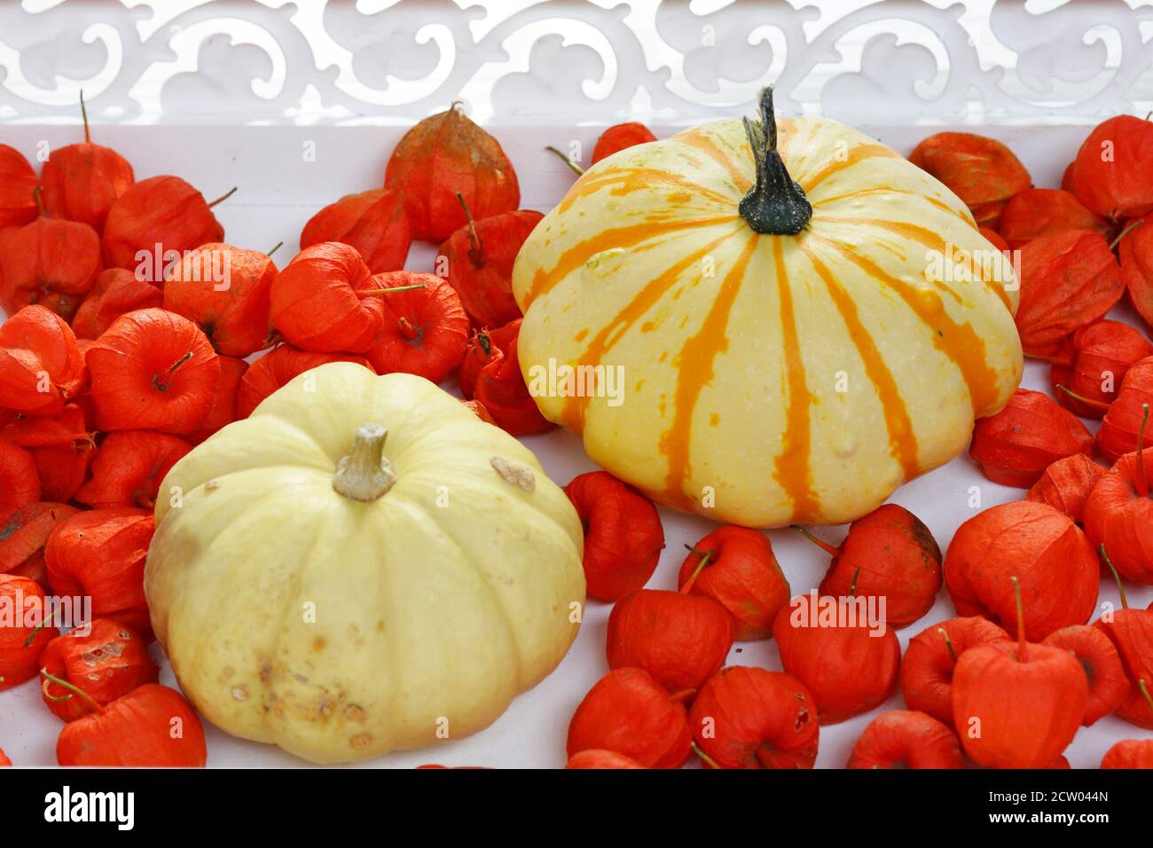 Autumn decoration with pumpkins and lantern flowers Stock Photo