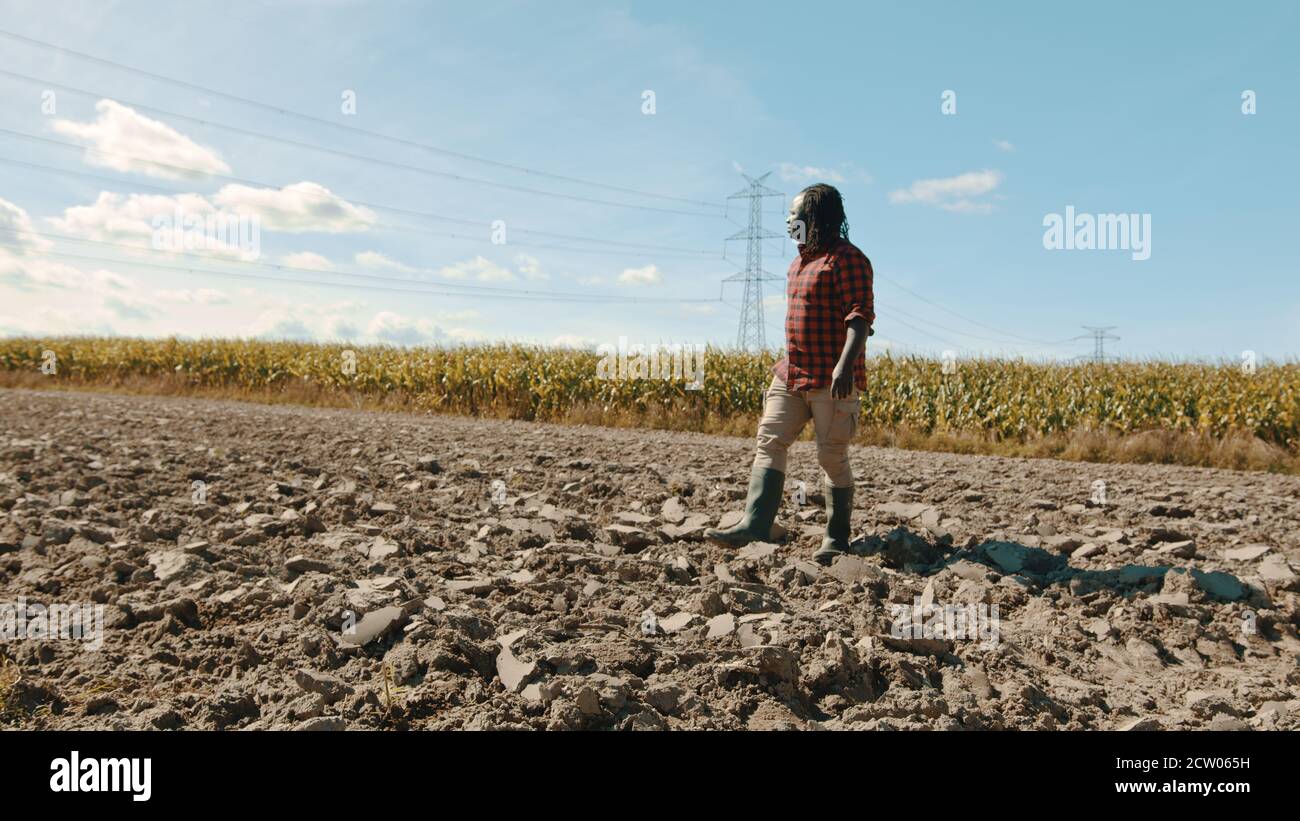 Farmer walking on corn field hi-res stock photography and images - Alamy