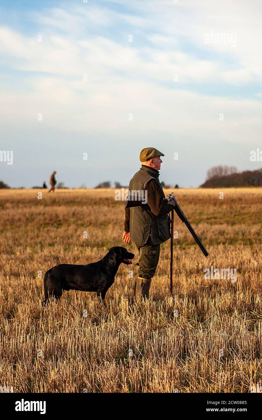 Waiting on the peg on a driven pheasant shoot in Lancashire, England. Stock Photo