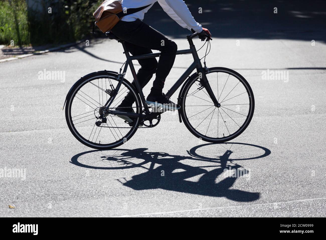 male cyclist in the backlit casting a shadow on the street Stock Photo