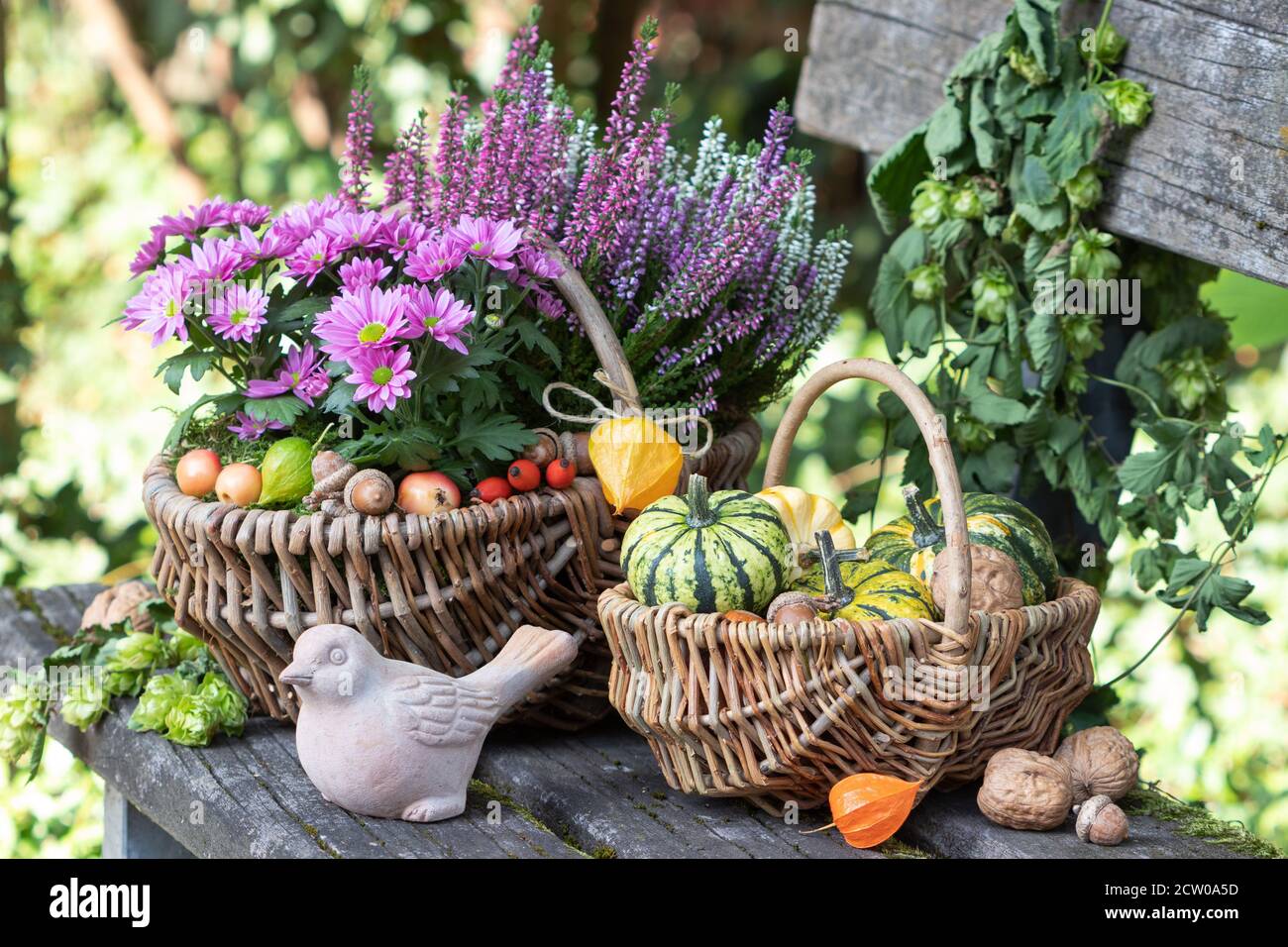pink chrysanthemums, heather flowers and pumpkins in basket as autumn garden decoration Stock Photo