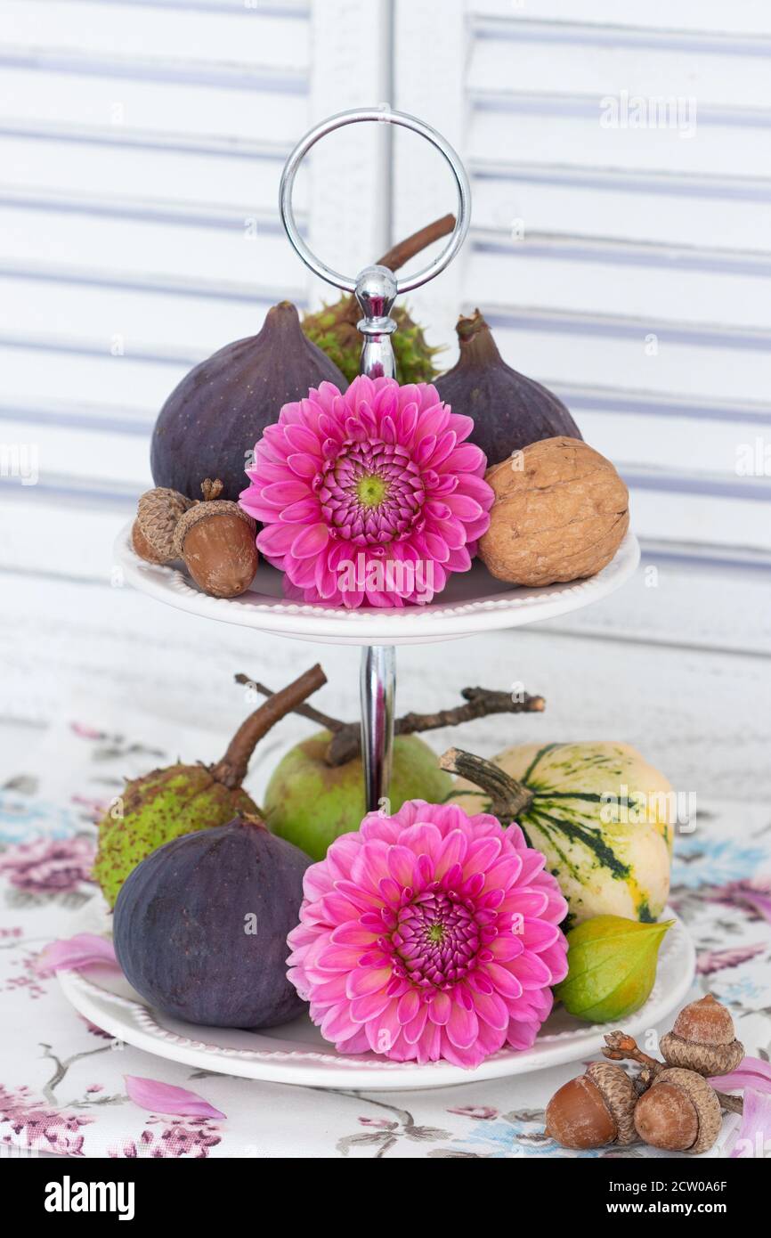 pink dahlias and fresh figs on tiered cake stand Stock Photo