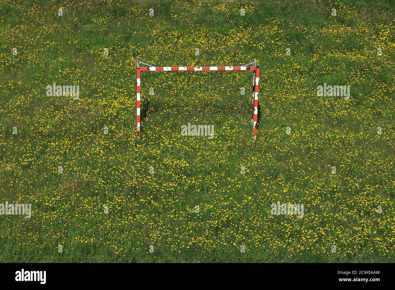field,meadow, dandelion teeth, quarantine time, abandoned football goal, Karlsbad, Karlovy Vary, Czech Republic, Europe Stock Photo