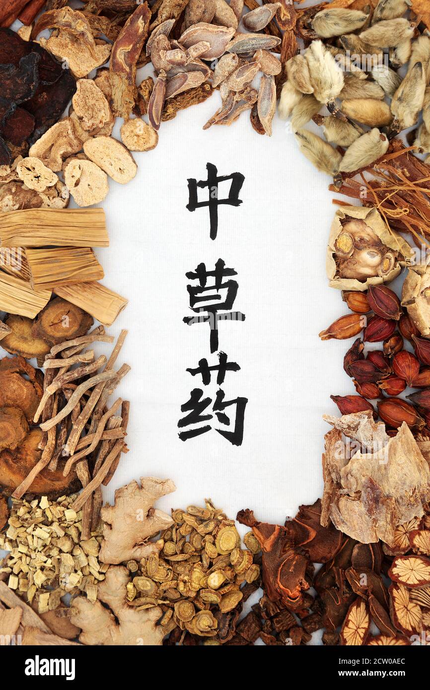 Chinese healing herbs used in traditional herbal medicine with ...