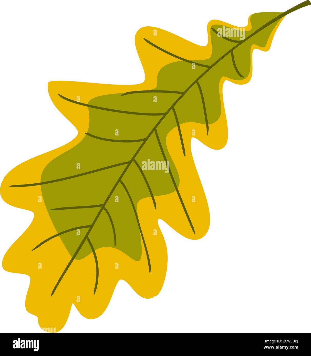 Colorful autumn oak leaf Stock Vector