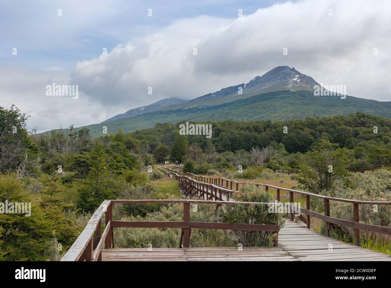 Landscape of the Tierra del Fuego National Park, Argentina Stock Photo
