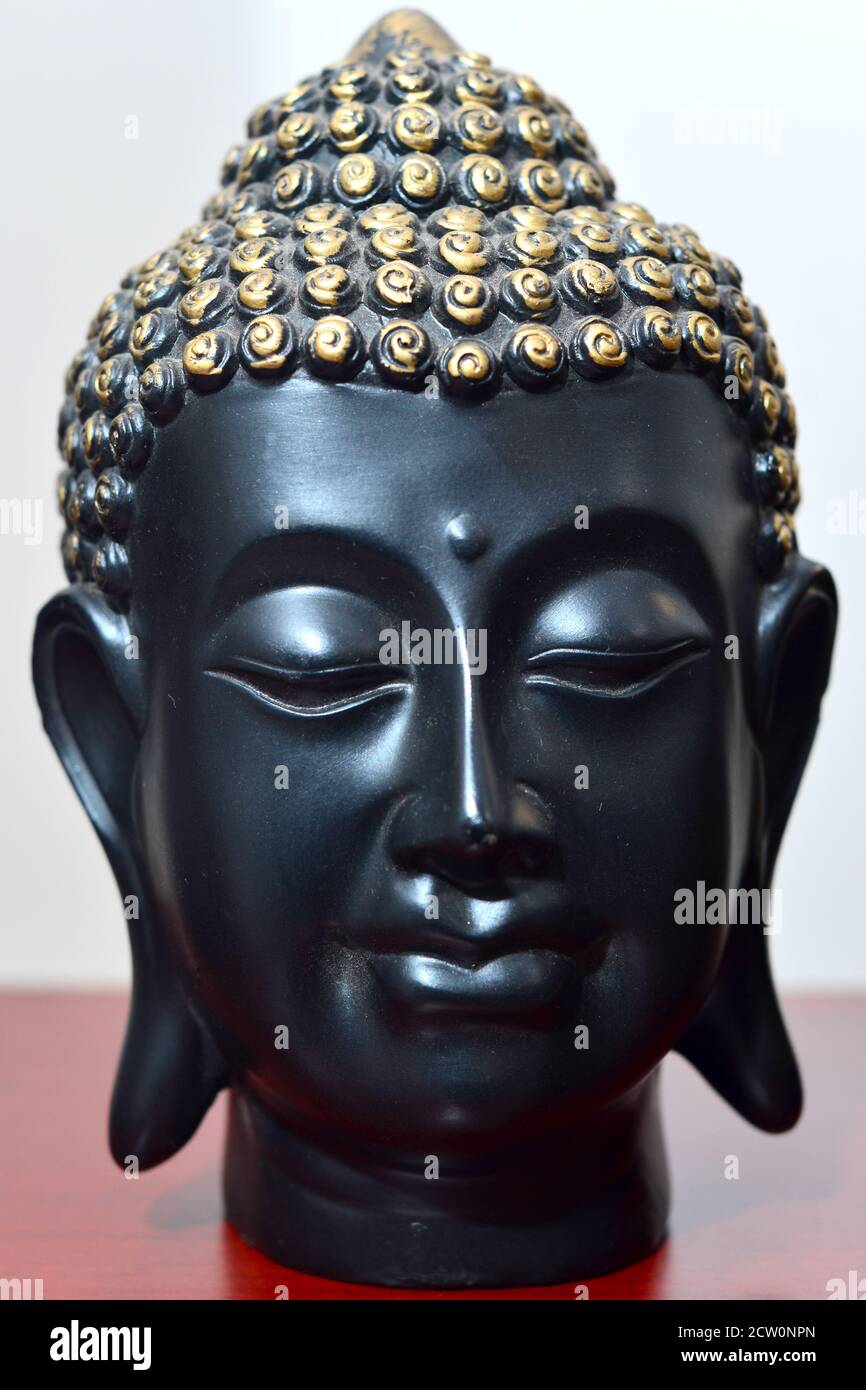 Buddha hair hi-res stock photography and images - Alamy