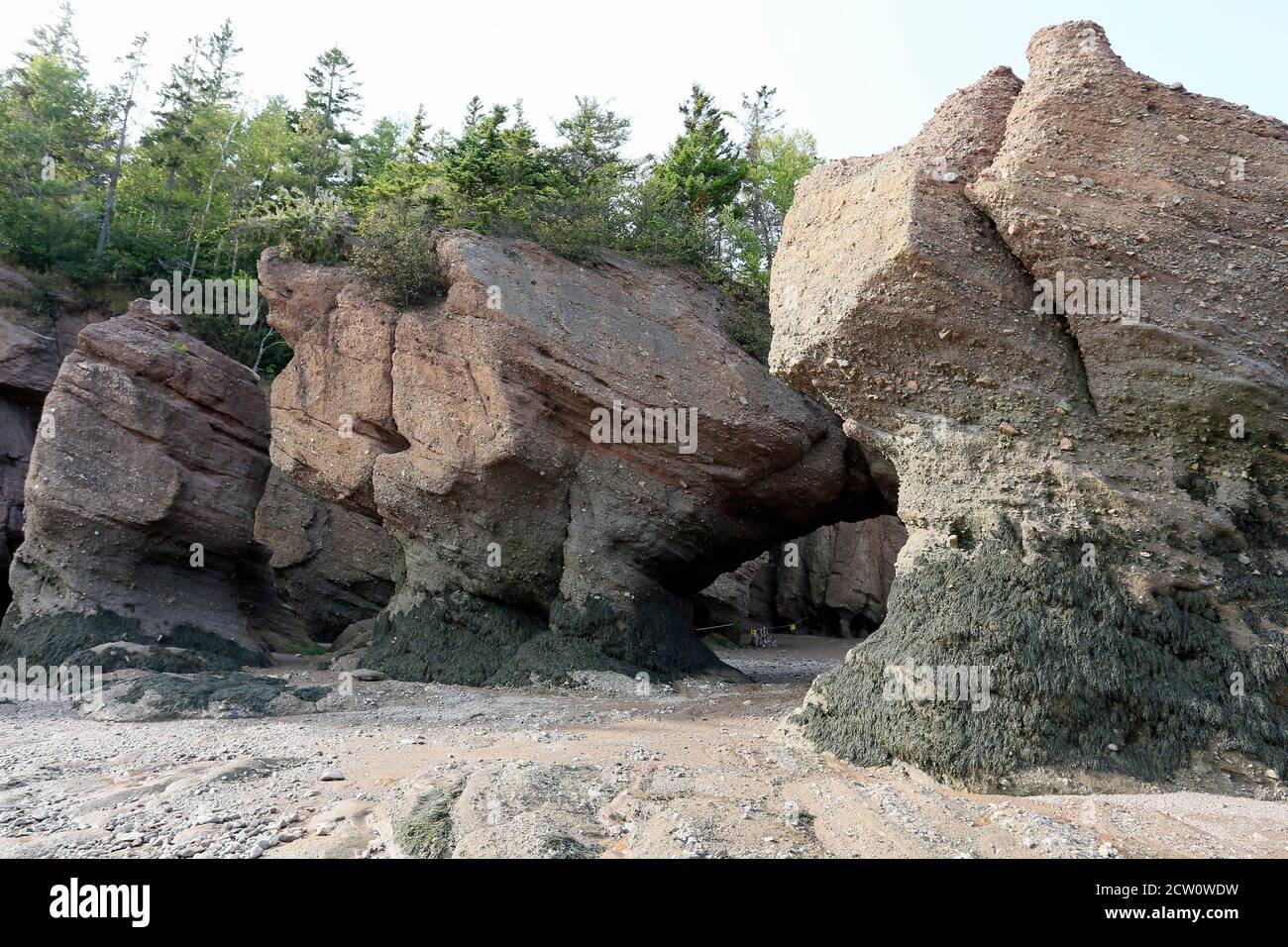 Hopewell Flowerpot Rocks; New Brunswick; Canada Stock Photo