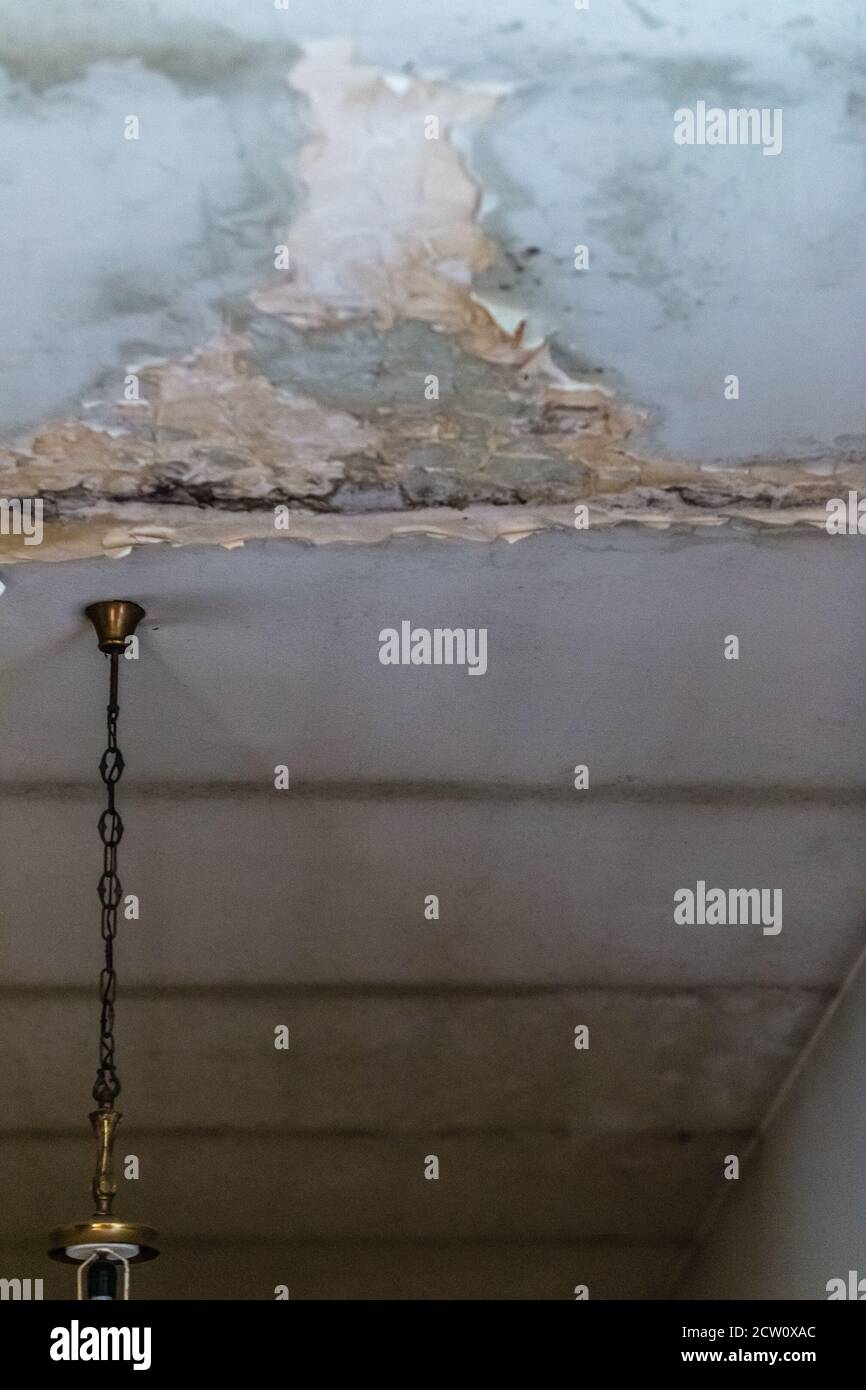 damp spots in the ceiling caused by water infiltration Stock Photo