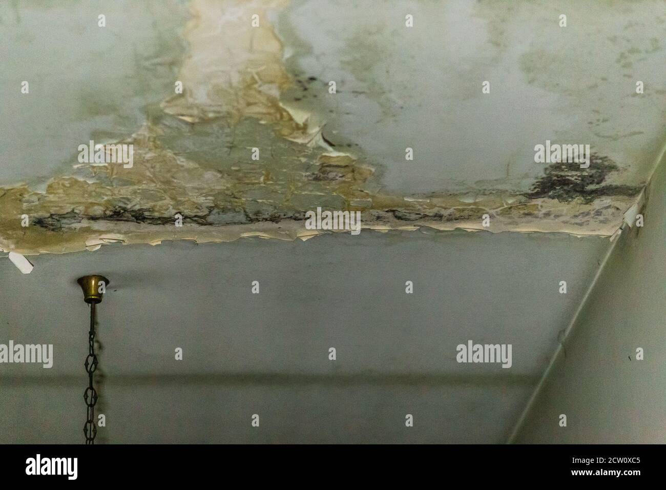 damp spots in the ceiling caused by water infiltration Stock Photo