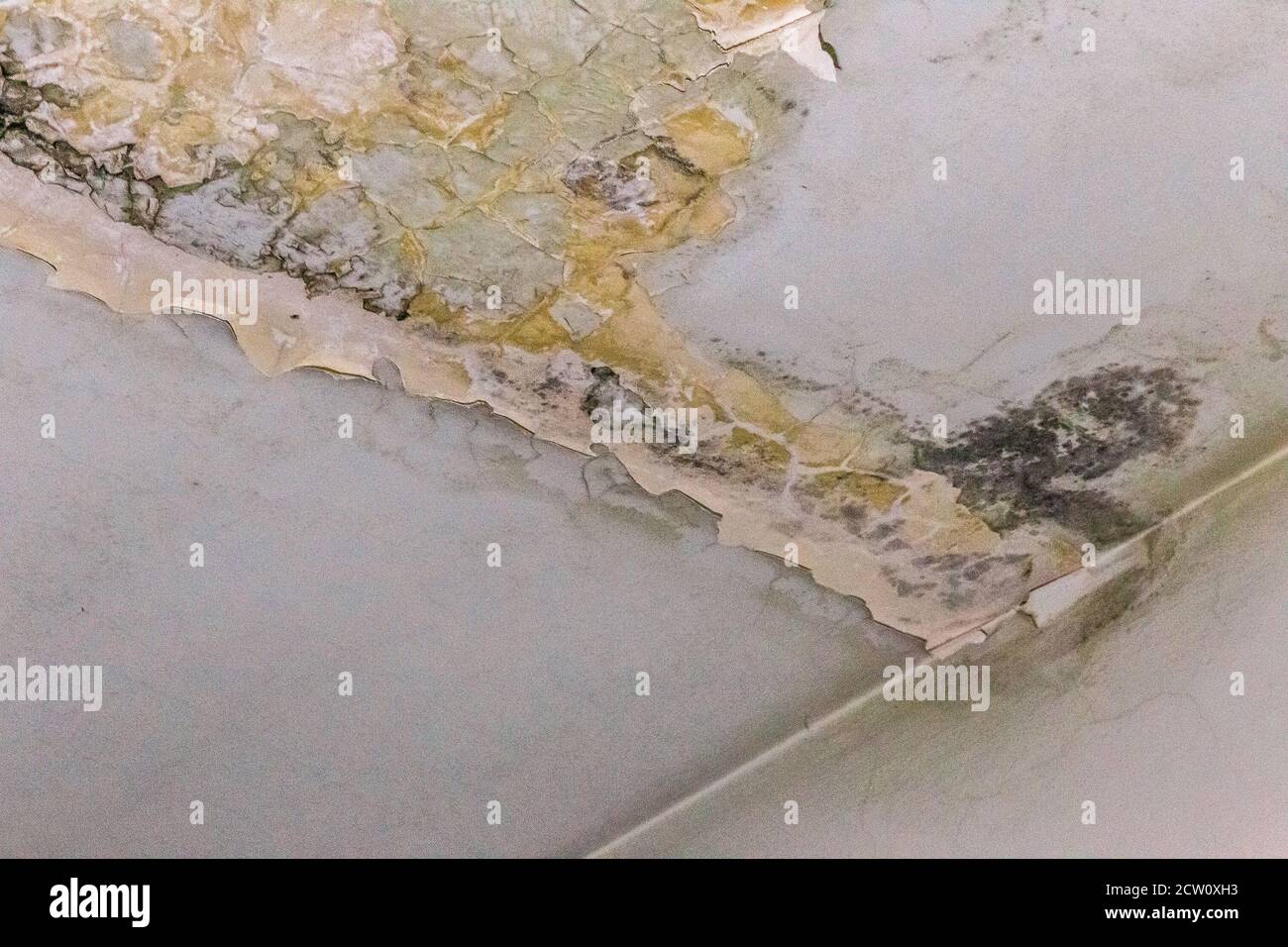 damp spots in the ceiling caused by water infiltration Stock Photo