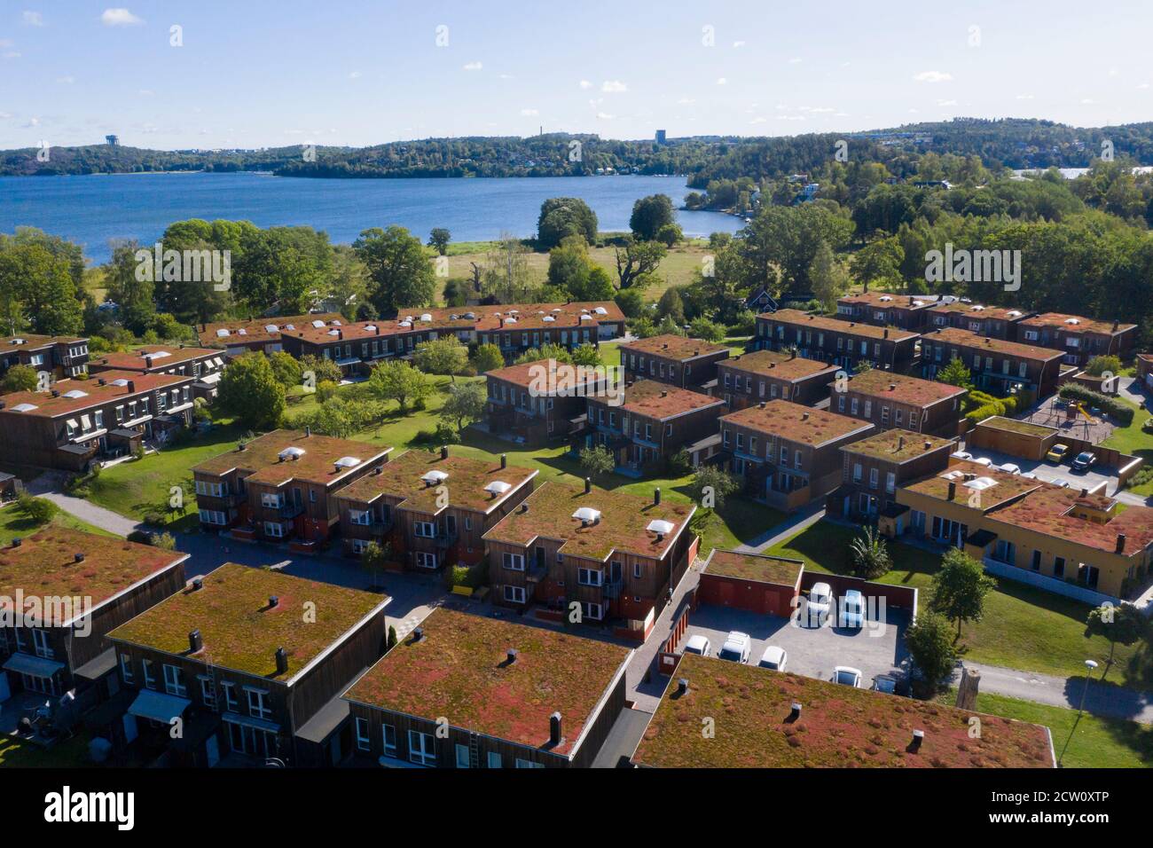 Sedum roof in a residential area. Stock Photo