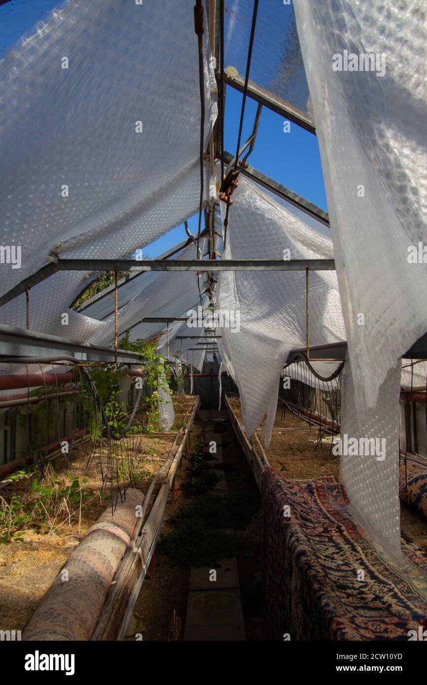 View into a abandoned greenhouse with bubble wrap hanging down from