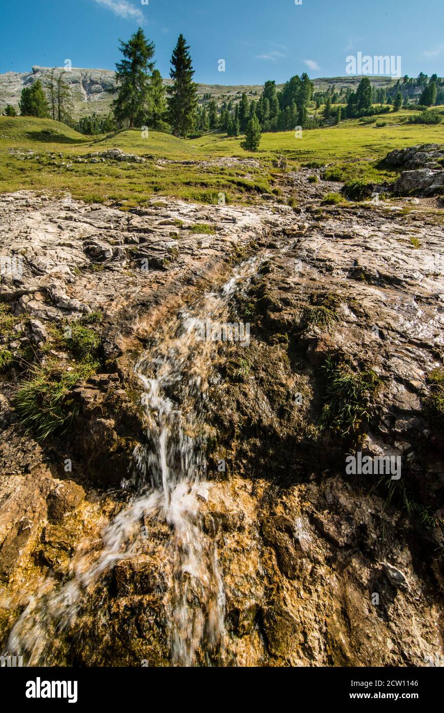 Panoramic view of Alps mountains with red spruce trees, green grass fields and water stream. Stock Photo