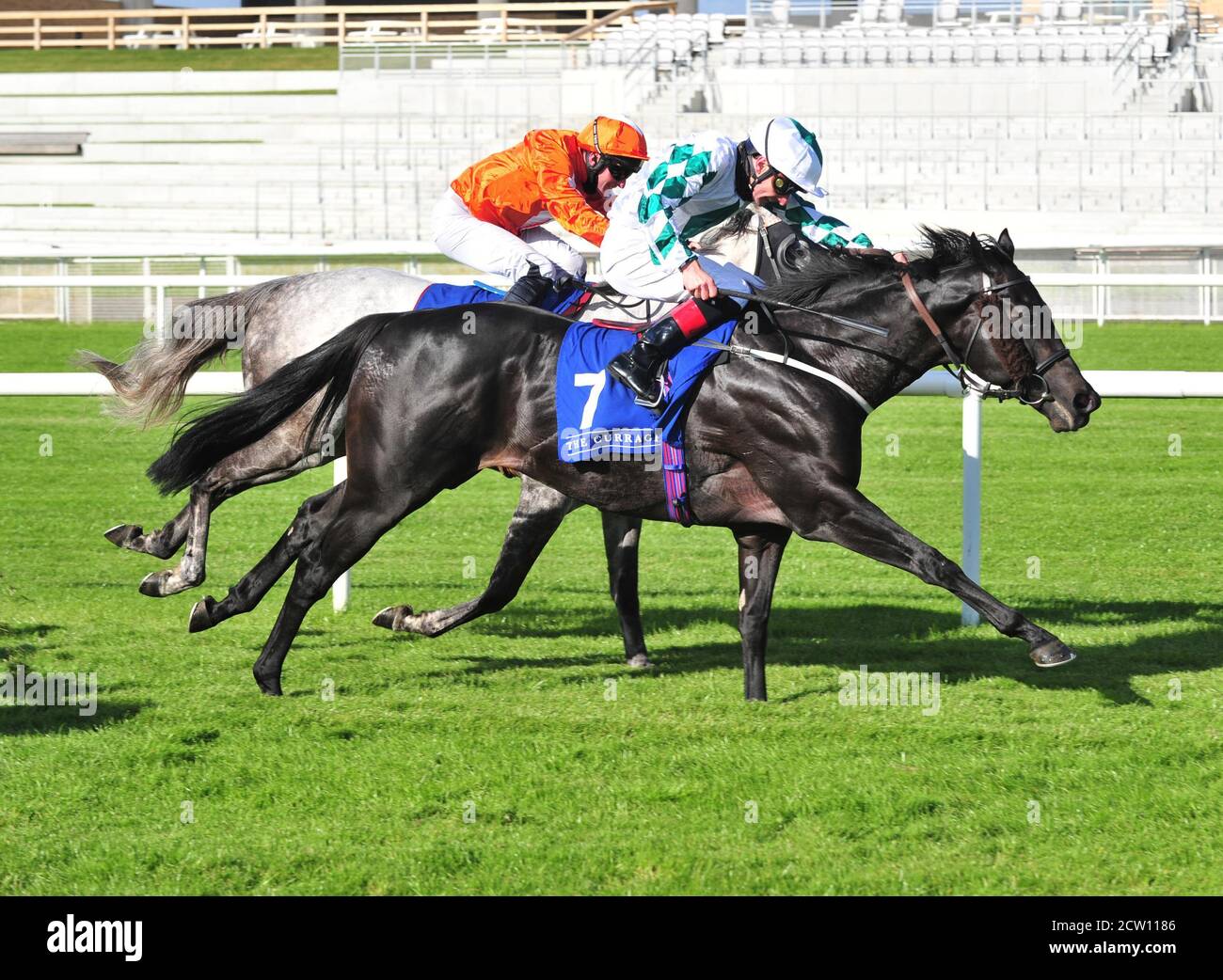 Qatar Racing Equestrian High Resolution Stock Photography And Images Alamy